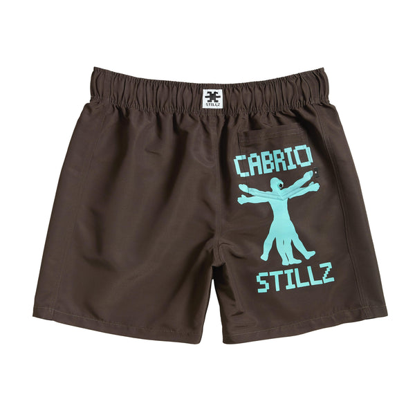 STILLZ™/CABRIO WATER SHORT [BROWN]